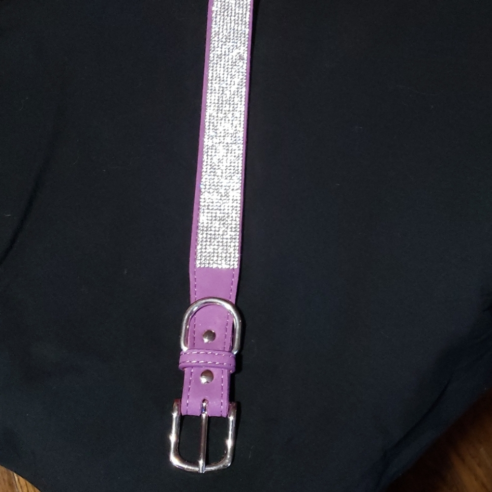 Bling studded dog collar.